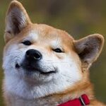 wordファイルから記事作成テスト